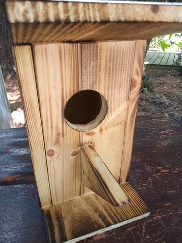 Hermosa casa para pájaros hecha a mano de 10 1/2" de alto pino macizo madera natural quemada - Imagen 6 de 6