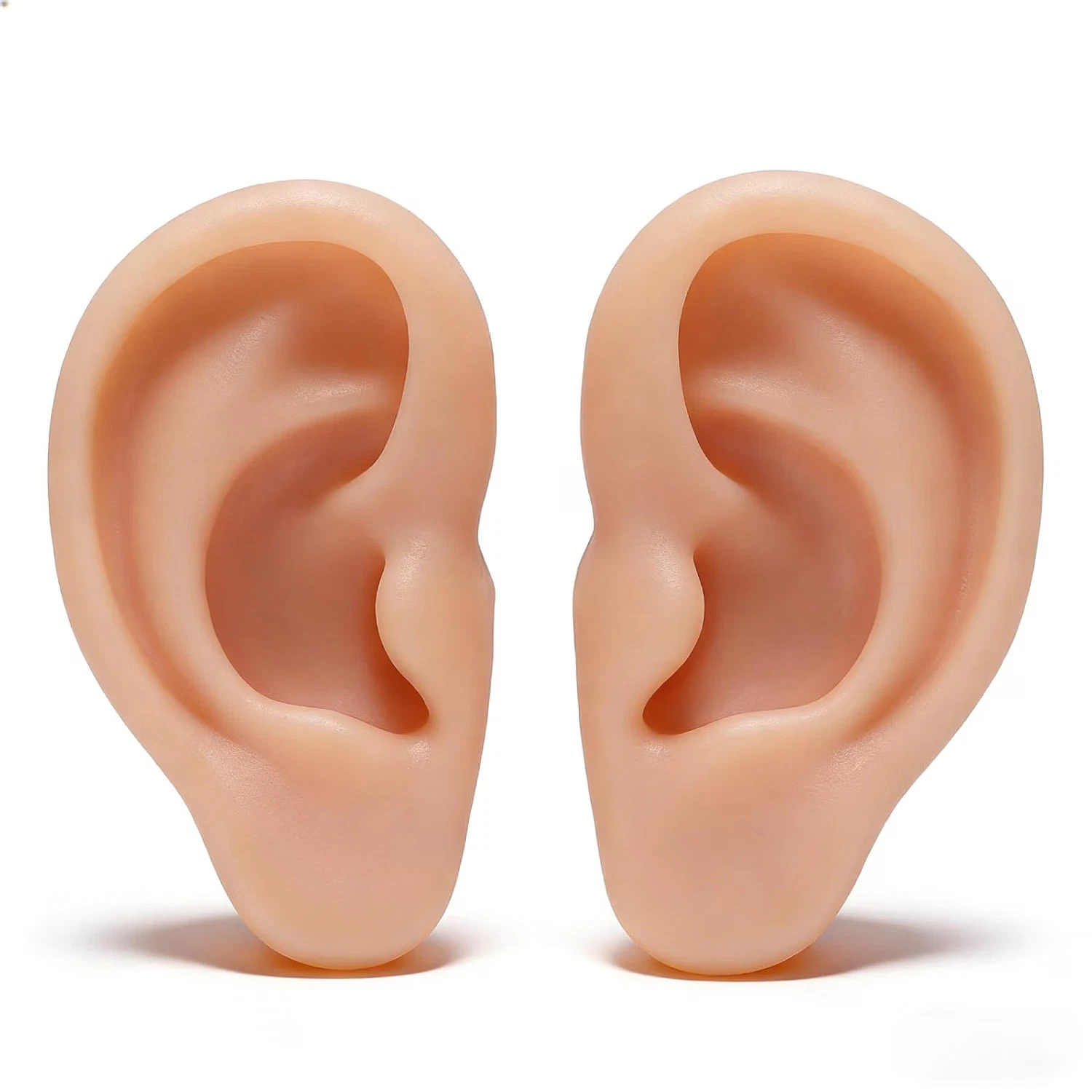 Silicone Ear Model 1 Pair Soft Ear Model, Human Ear Model Flexible Fake Ear S... image 1