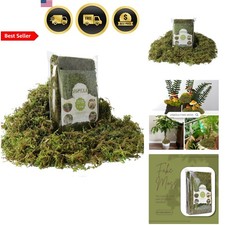 Artificial Moss Green Faux Moss for Potted Plants DIY Crafts Centerpieces