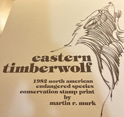 Martin R Murk, Eastern Timber wolf, AP 81/100, Signed stamp 1982.,Excellent.