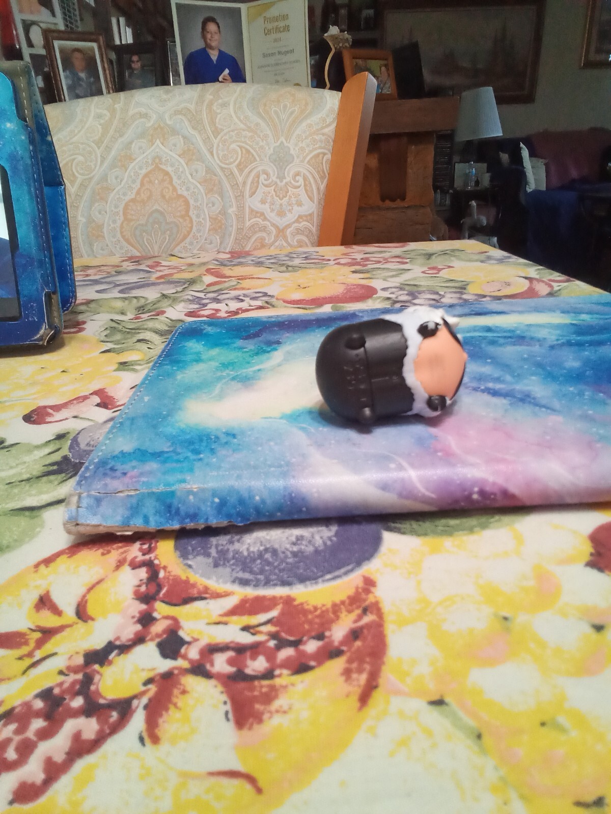 Picture 5 of 5