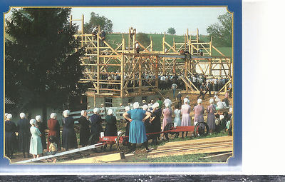 Ohio  Amish Country  The Barn Raising!   Farmerstown OH  4x6 Chrome Postcard 664