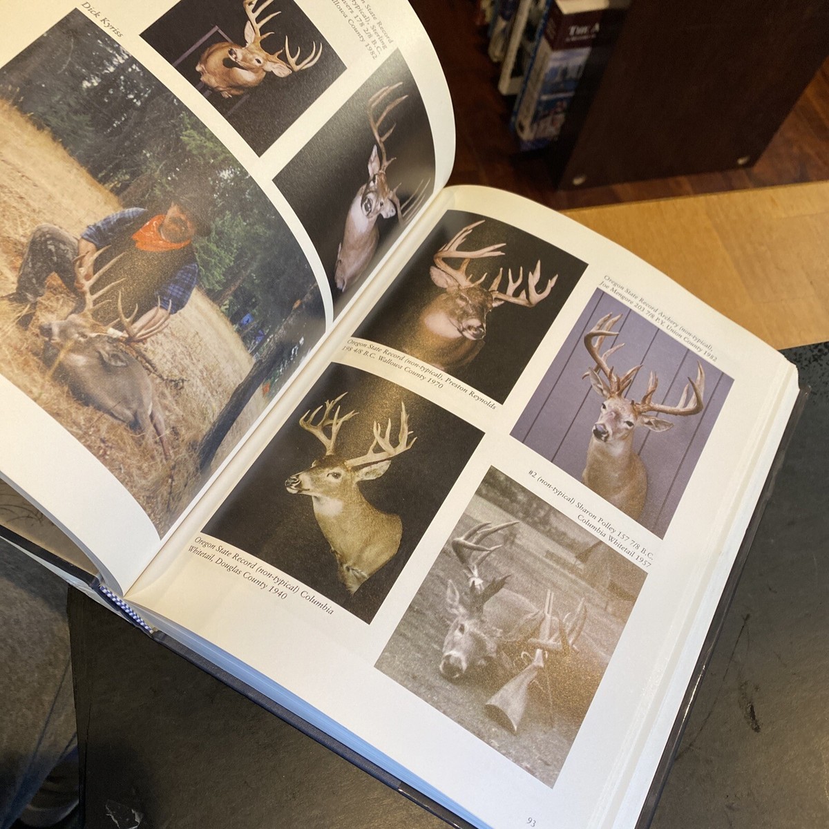 Learn To BC.Game Indonesian Online Casino website Like A Professional