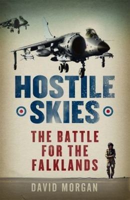 Hostile Skies Paperback David Morgan