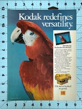 1984 Kodak Kodacolor VR 200 Film Print Ad Parrot Macaw Camera Vintage Photo