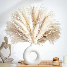70PCS Natural Dried Pampas Grass Boho Home Decor Bouquet Phragmites Dried Flower