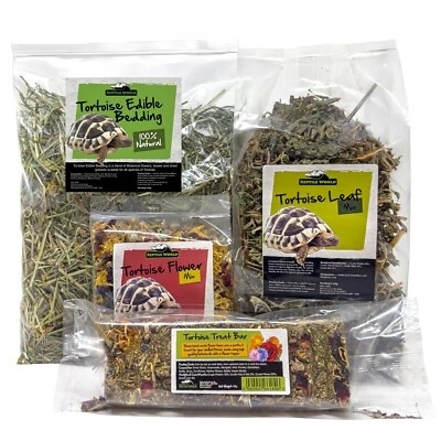 Reptile World Tortoise Forage Kit | Natural Tortoise Food, Enrichment and Treats