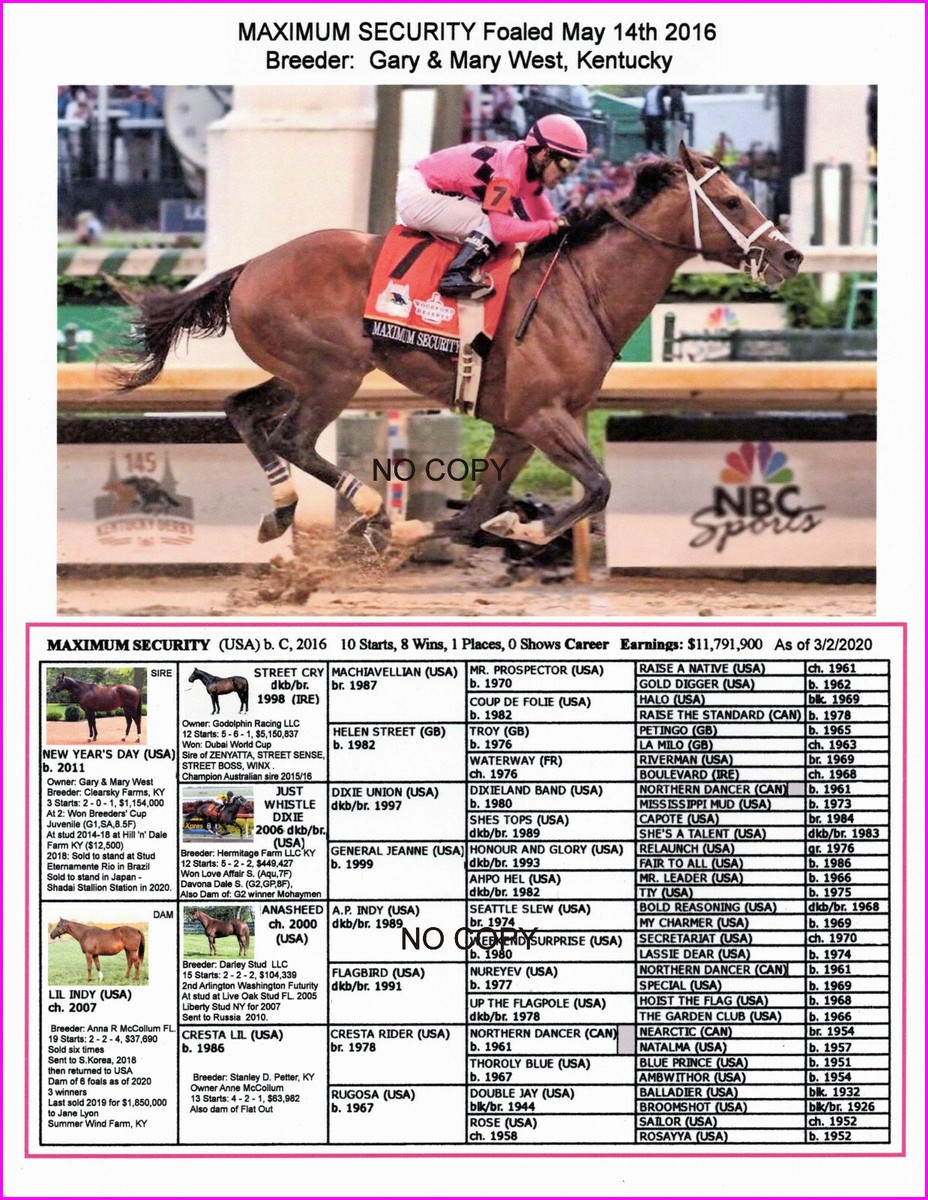 Race horse Maximum Security picture with pedigree