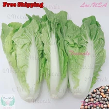 Pak Choi/Bok Choy Seeds | Sweet Pak Choy, Chinese Sweet Cabbage SEEDS | Non-GMO