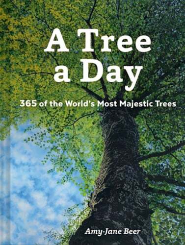 A Tree a Day by Amy-Jane Beer: Used