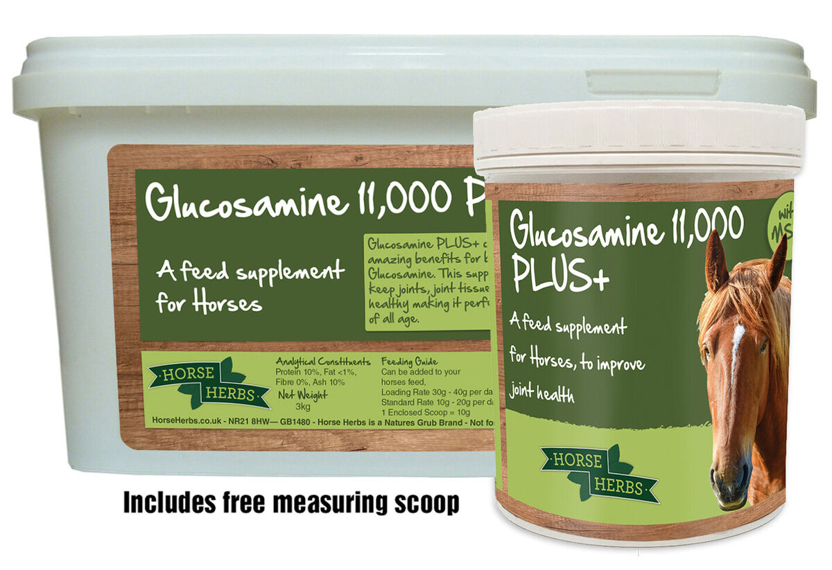 Horse Herbs Glucosamine 11,000 PLUS+, Equestrian Joint Supplement for Horses