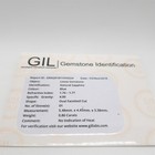 Bild 7 von 7