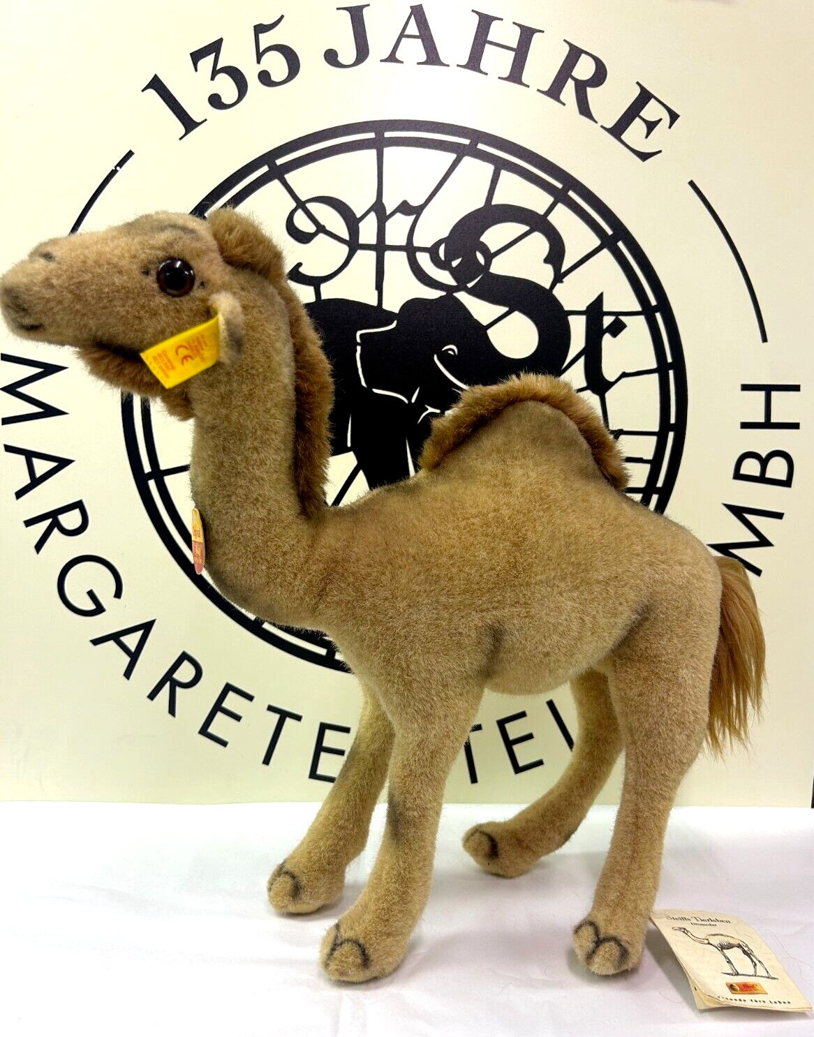 STEIFF EAN 066948 - Camel 35cm - Free Gift Box