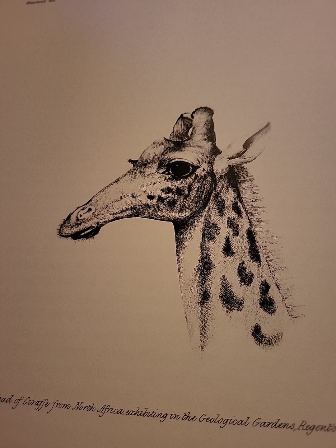 Picture 5 of 8