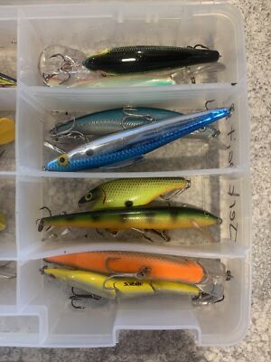 Lot De 16 Jerkbaits Pour Pêche - Assortiment #2 - Leurres Durs D'occasion