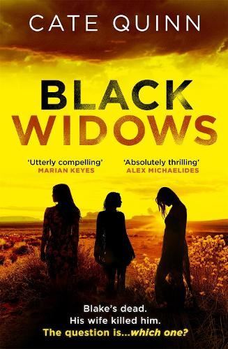 Black Widows Like New Book, Cate Quinn,