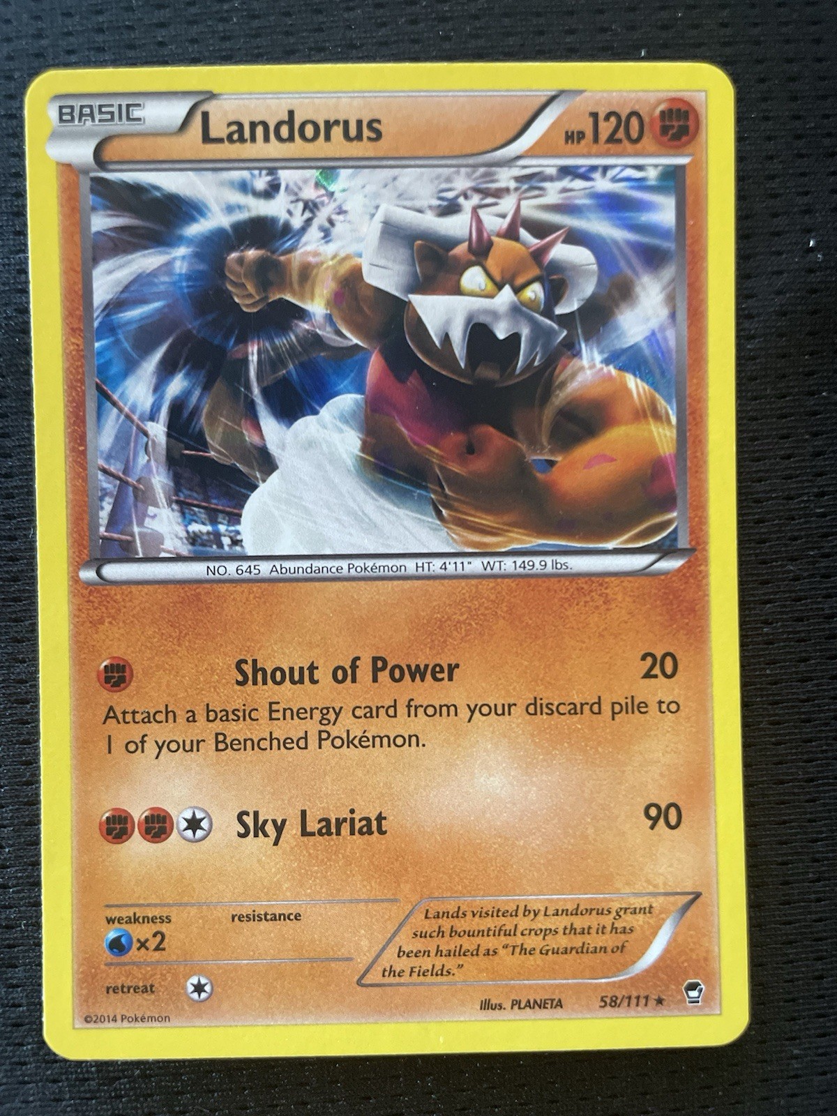Landorus 58/111 XY - Furious Fists Holo LP Condition