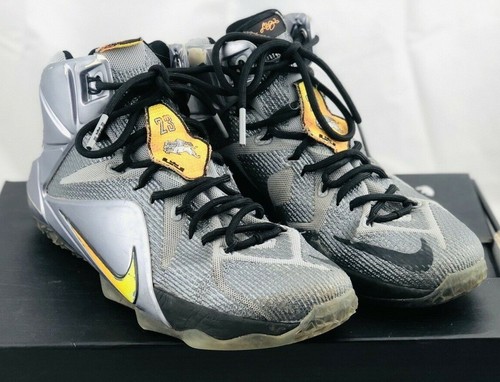 grey lebron 12