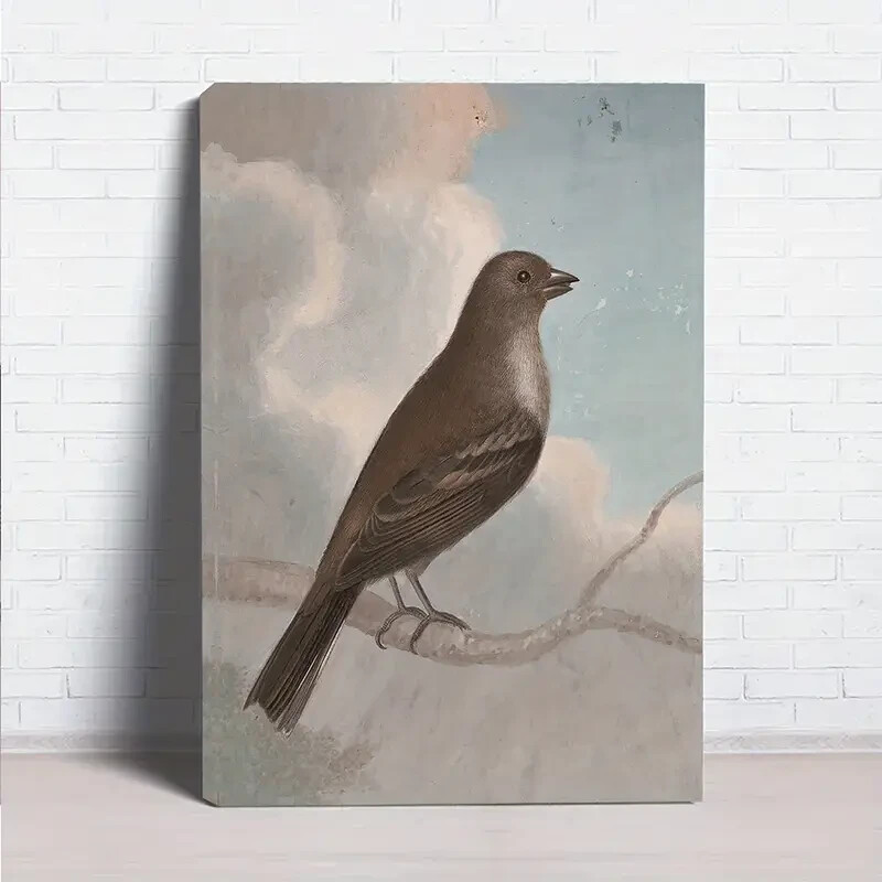 Vintage Bird Perched On A Branch Wall Art  Canvas Unframed/Framed