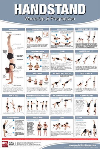 HANDSTAND WORKOUT Professional Fitness Instructional Wall Chart