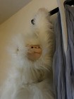 Vintage GANZ White Fluffy Faux Fur Monkey Plush 1997 Long Arms, Tan Face — photo 9