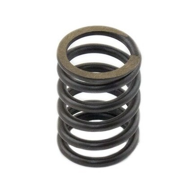 Reliance Power Products SH198216700 Valve Spring