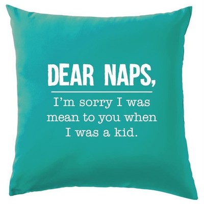 Dear Naps I'm Sorry I Was Mean To You - Cushion - Sleep Funny Tired
