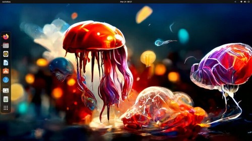 Ubuntu Desktop DVD Installer ALL VERSIONS 30 DVD AMD64 USA SAME DAY - Picture 10 of 13