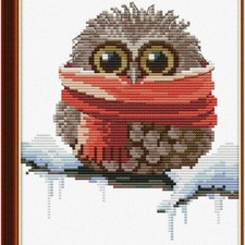 WhimsiStitch Owl Delight Embroidery Kit - Stamped  Printed Cross Stitch Set for