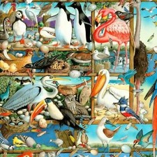 Birdwatching Different Types of Birds 100 Cotton Fabric by The Yard