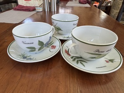 Apilco Elysian Garden three breakfast cups and saucers EUC