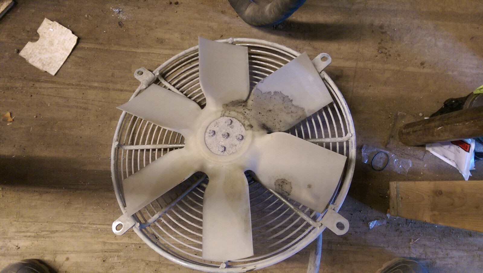 Picture 3