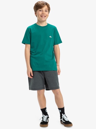 Quiksilver Basic - T-Shirt für Jungen - Neu - 152 - Bild 4 von 7
