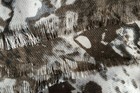 Bild 8 von 8