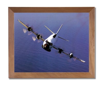 EP-3E Aries Navy Jet Airplane Wall Picture Honey Framed Art Print