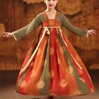 Girs Embroidery Hanfu Dress Chinese Traditional Tang Suit Dunhuang Style Ethnic