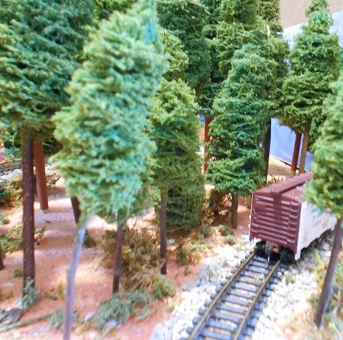 6 Spruce Fir Trees 6-8" Trees, "Naturals" for Wargames and HO Scale Model Trains - Picture 11 of 13