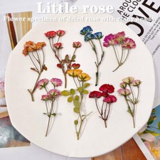 12PCS real Pressed rose Flower, 8 colors with leaves stem for art craft FHT02