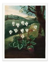The Persian Cyclamen 1807 Temple of Flora Botanical Art Print - Wall Decor