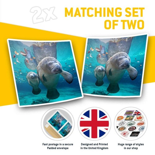 2 x Square Stickers 10 cm - Manatee Mum & Baby Florida USA #45663 - Afbeelding 2 van 9