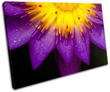 Flower Floral SINGLE CANVAS WALL ART Picture Print VA