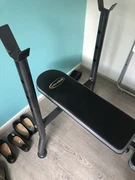 Weight Bench Celsius Gym Fitness Gumtree Australia Free