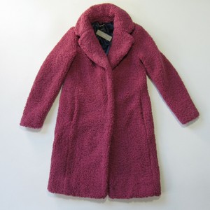 teddy coat rose