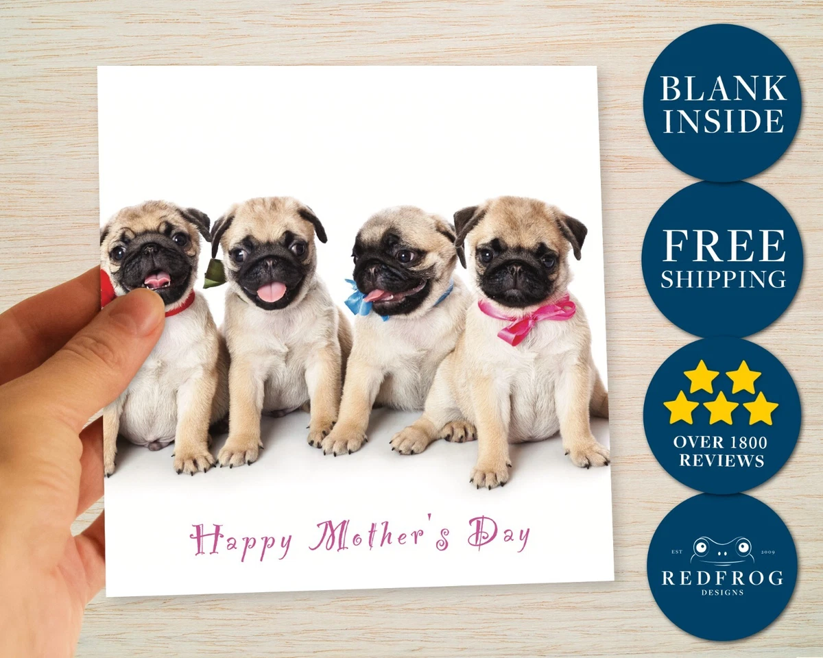 Dog mum mothers clearance day