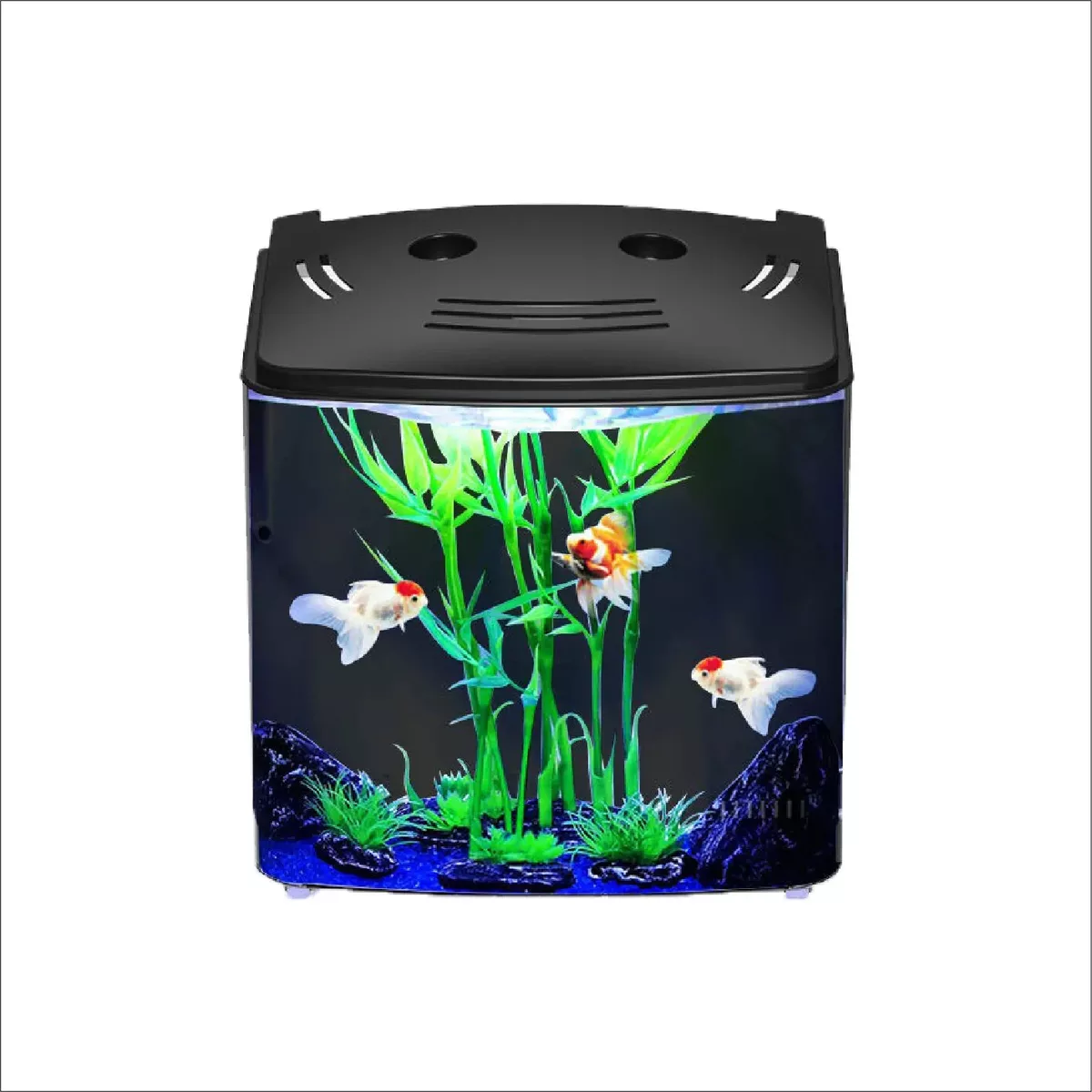 Eco fish tank cheap