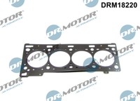 DRM18220 Dr.Motor Automotive Dichtung, Zylinderkopf FüR Nissan,Opel,Renault