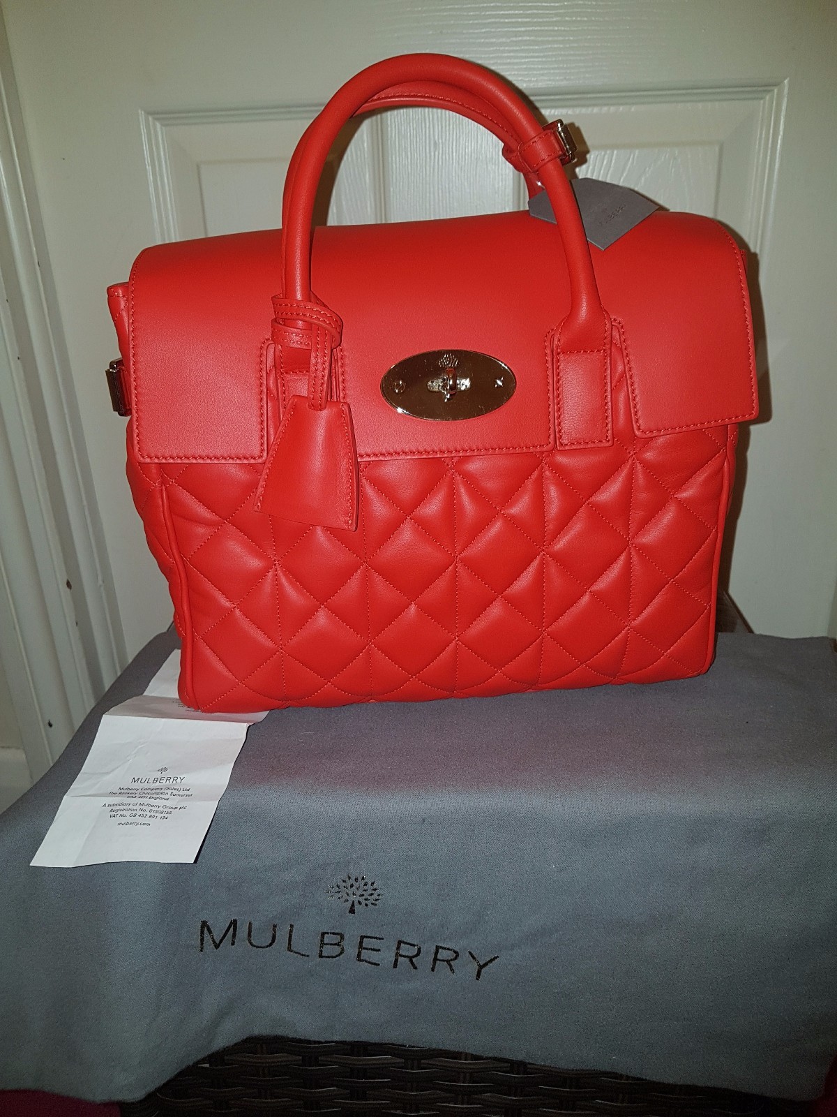 mulberry cara delevingne sale
