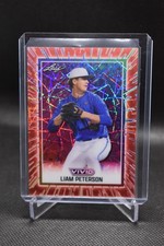 Liam Peterson 1/1 2025 Leaf Vivid Orange Velocity Florida Gators #78
