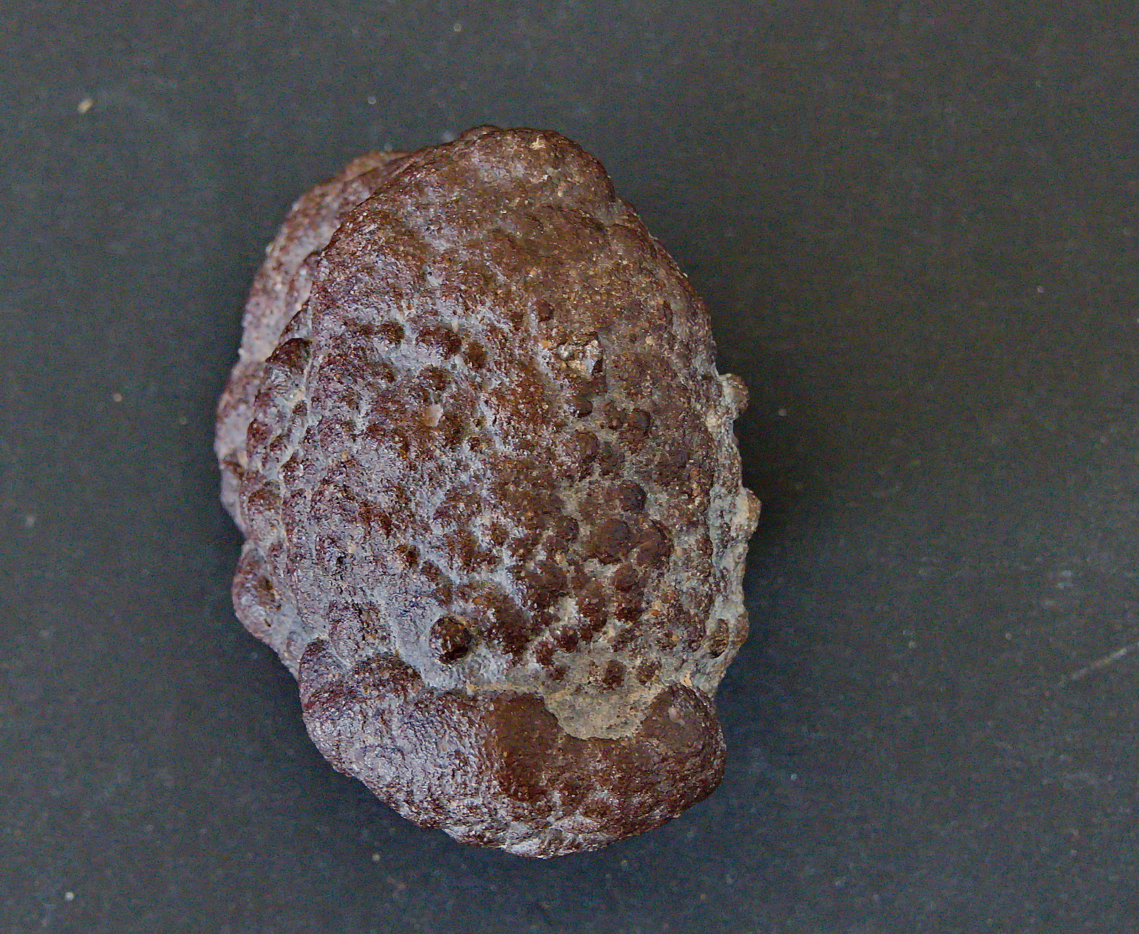 Picture 3 of 9