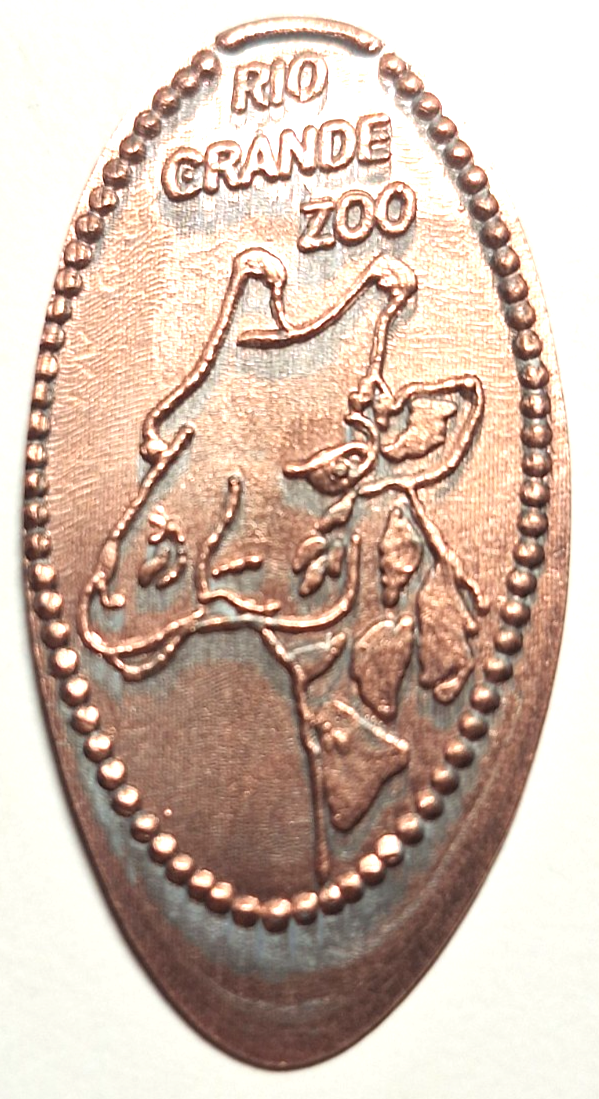 Picture 21 of 21